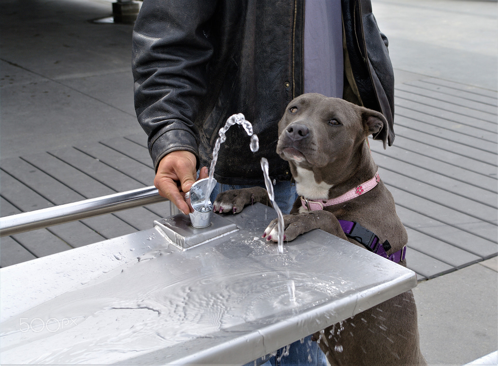 Samsung/Schneider D-XENON 18-55mm F3.5-5.6 II sample photo. Water please... photography