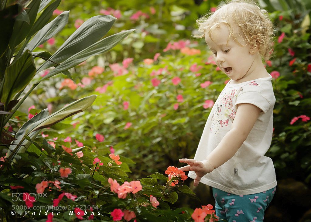 Canon EOS 7D Mark II sample photo. Amanda sophia photography