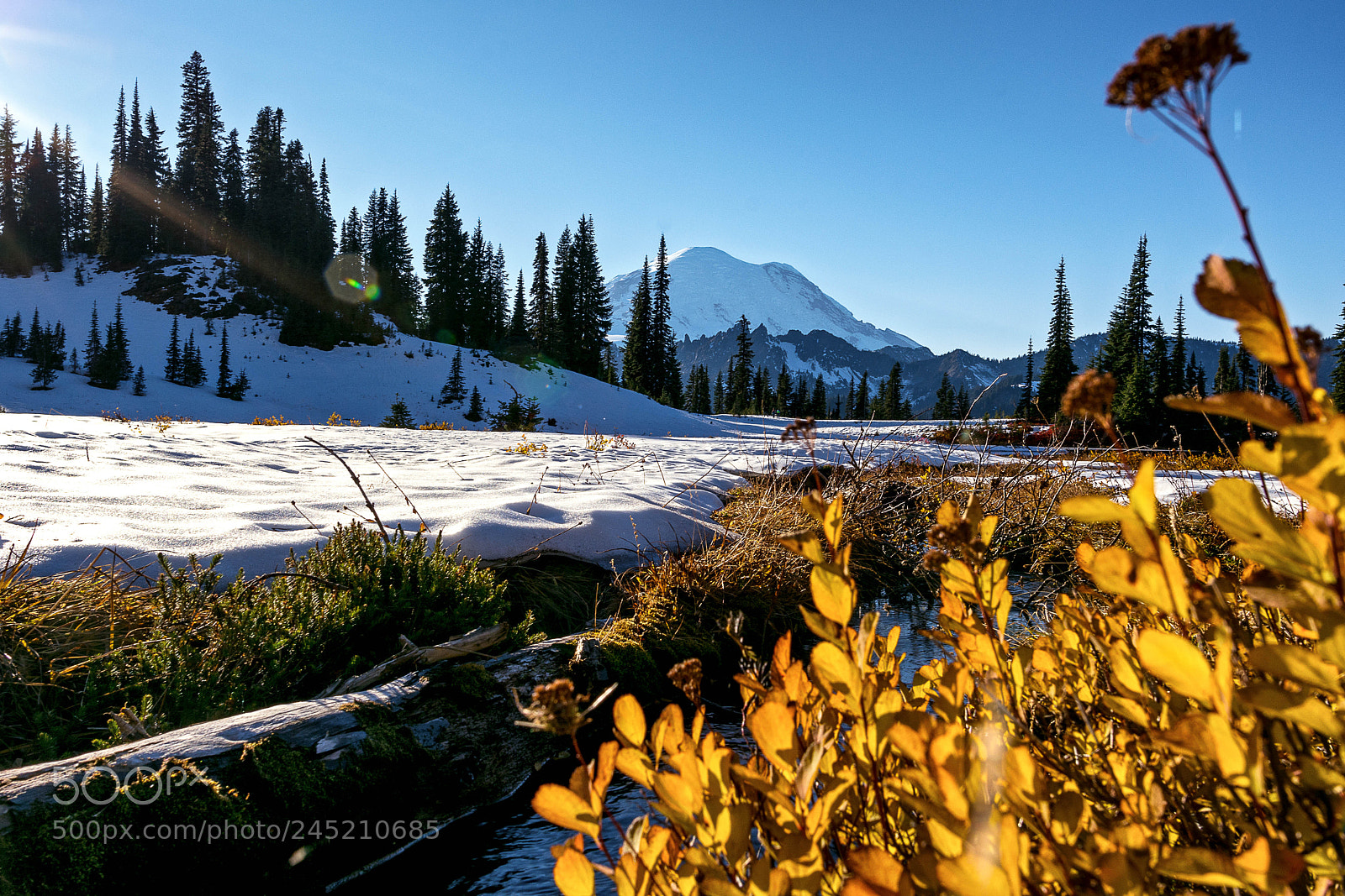 Nikon D7100 sample photo. Upper tipsoo lake photography