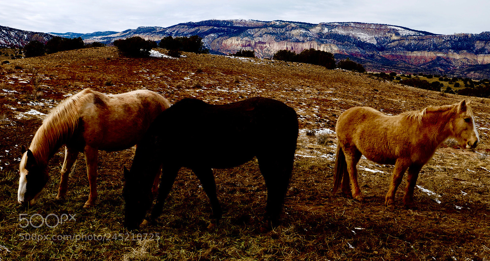 Panasonic Lumix DMC-G7 sample photo. Winter new mexico photography