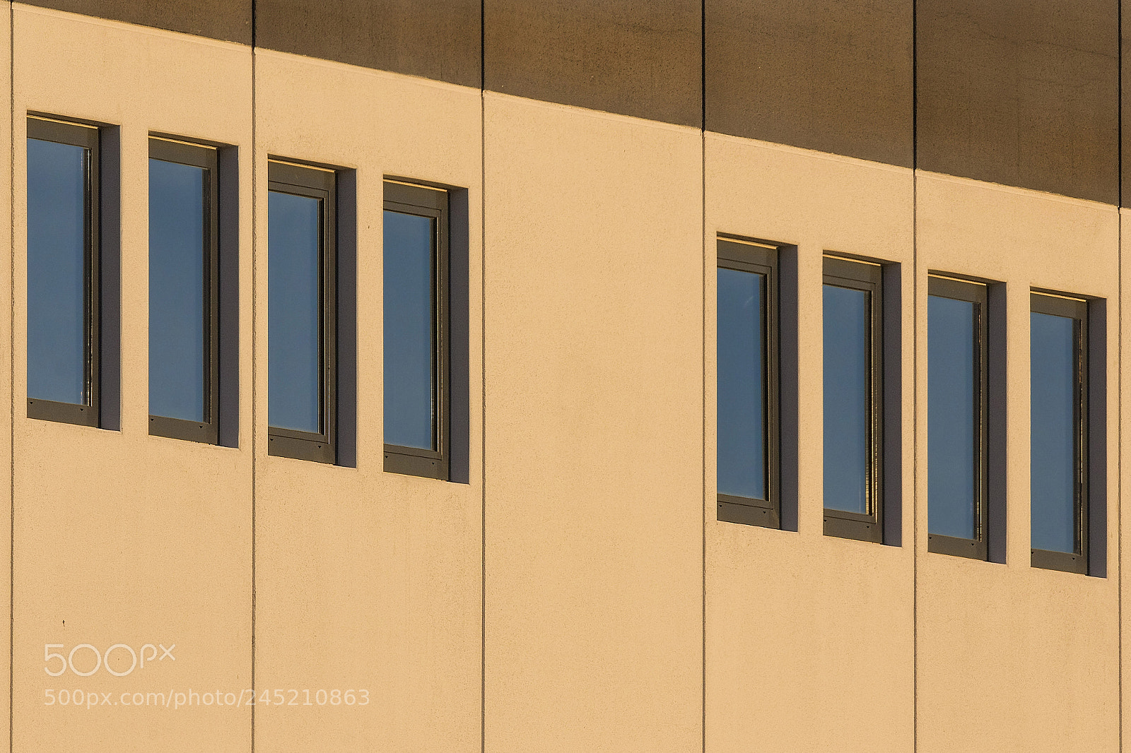 Canon EOS 7D Mark II sample photo. ..|[][][][]|  |[][][][]|.. photography