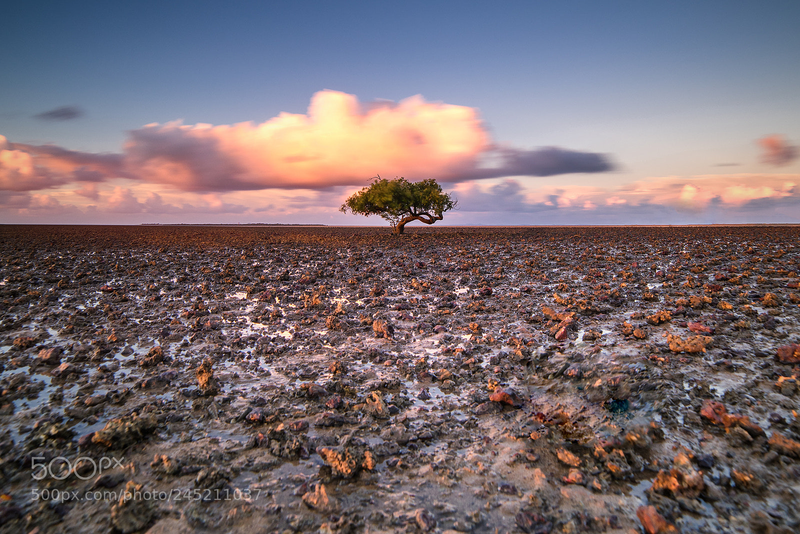 Nikon D810 sample photo. Twilight photography