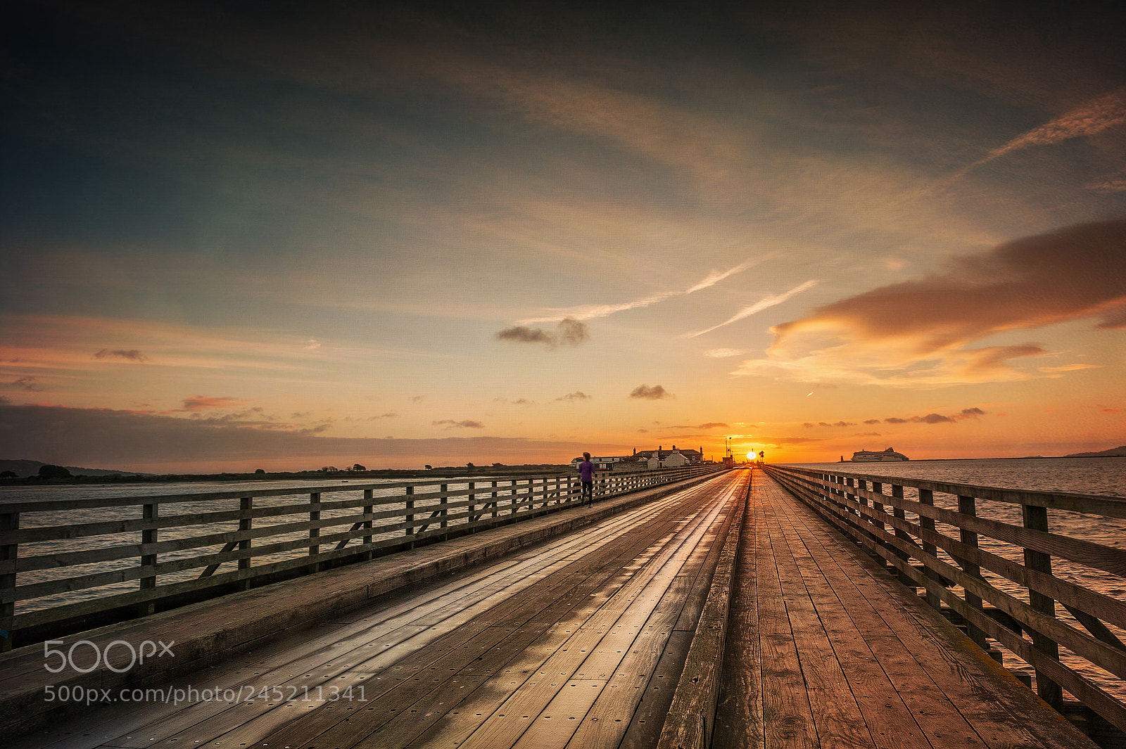 Nikon D700 sample photo. The bridge at dollymount photography