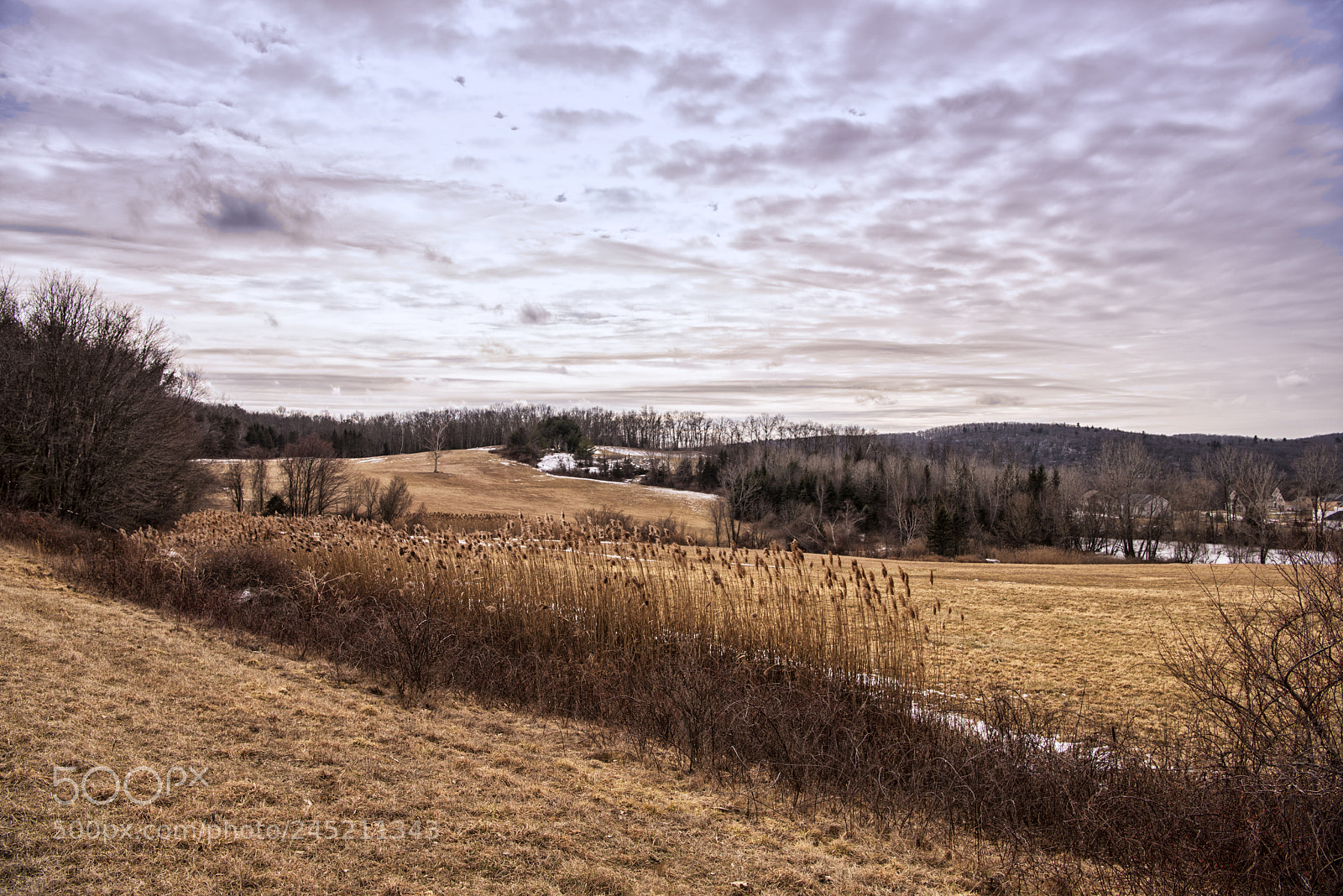 Nikon D810 sample photo. Longo farm open space photography