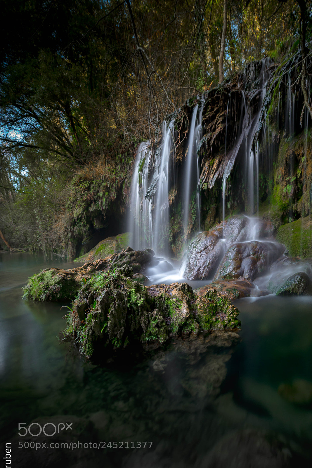 Nikon D610 sample photo. Salt del mol dels photography