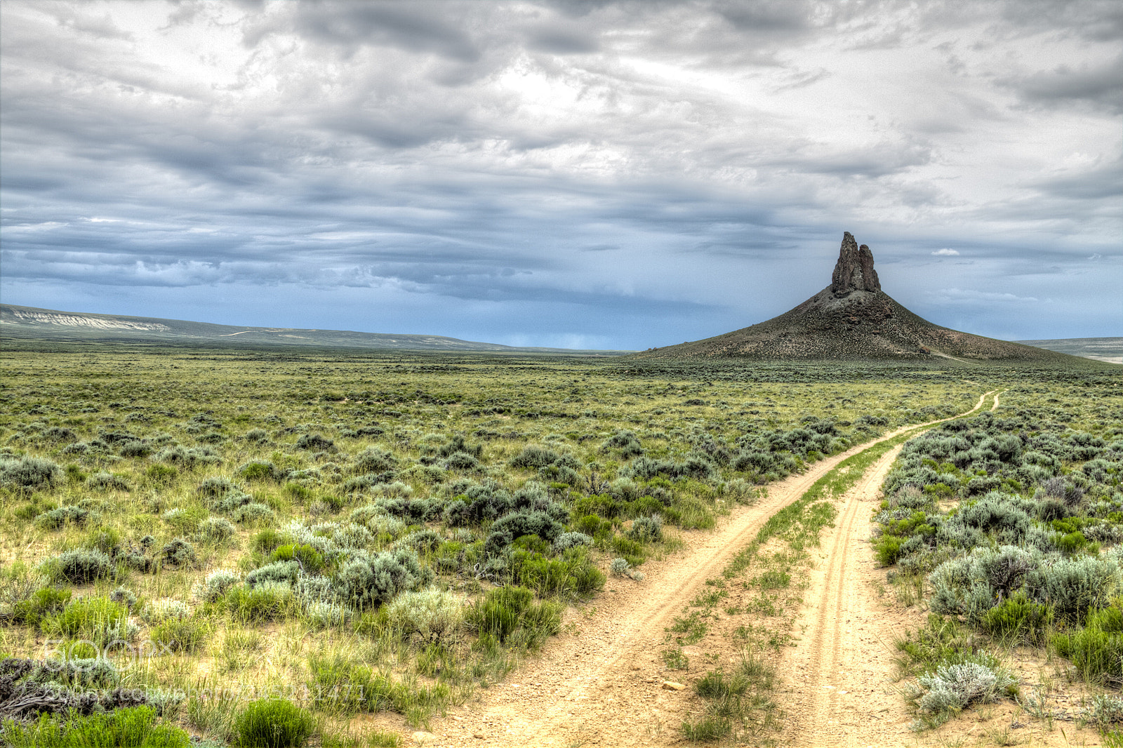 Canon EOS 60D sample photo. Boar's tusk, from 4-wd photography