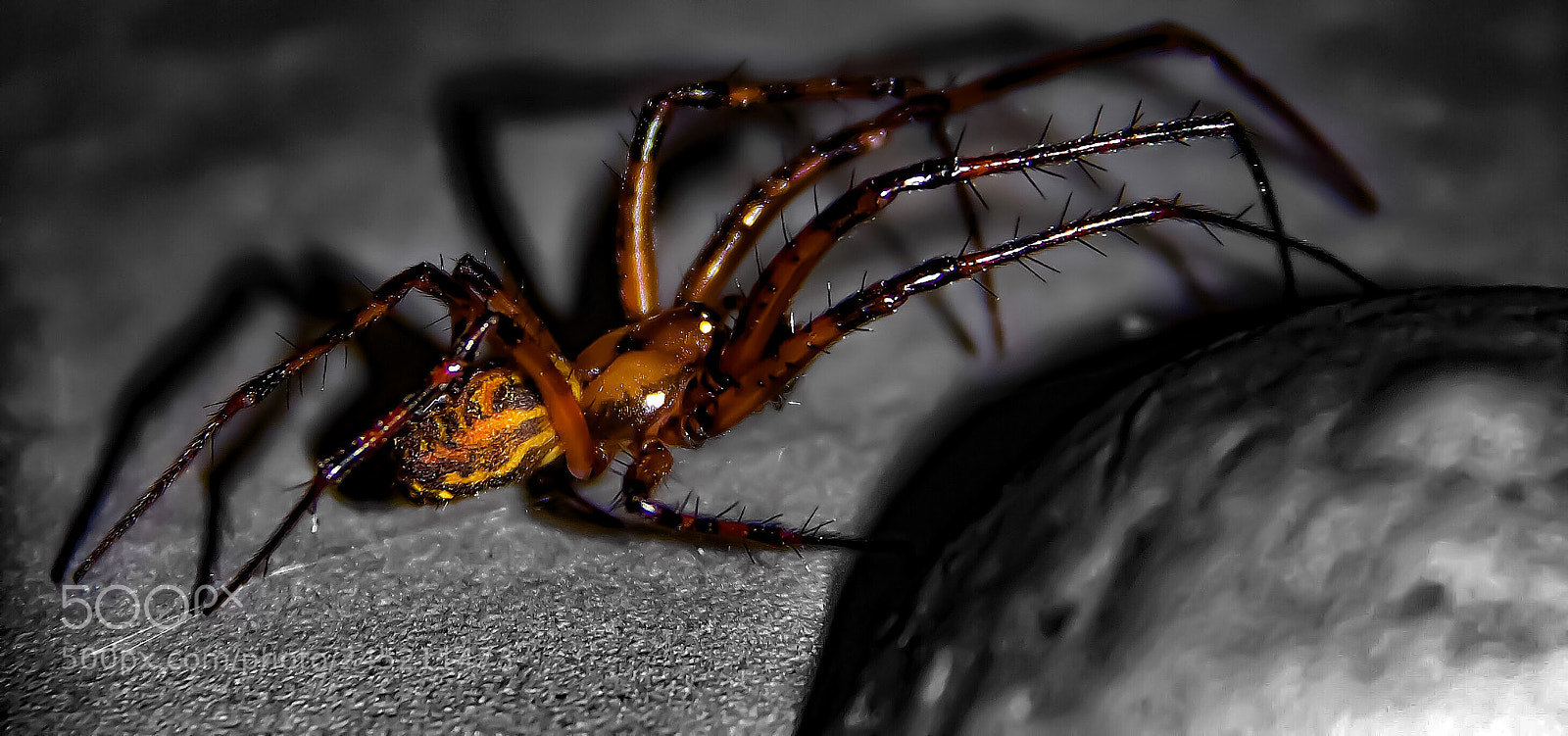 Canon EOS 60D sample photo. Dont like them photography