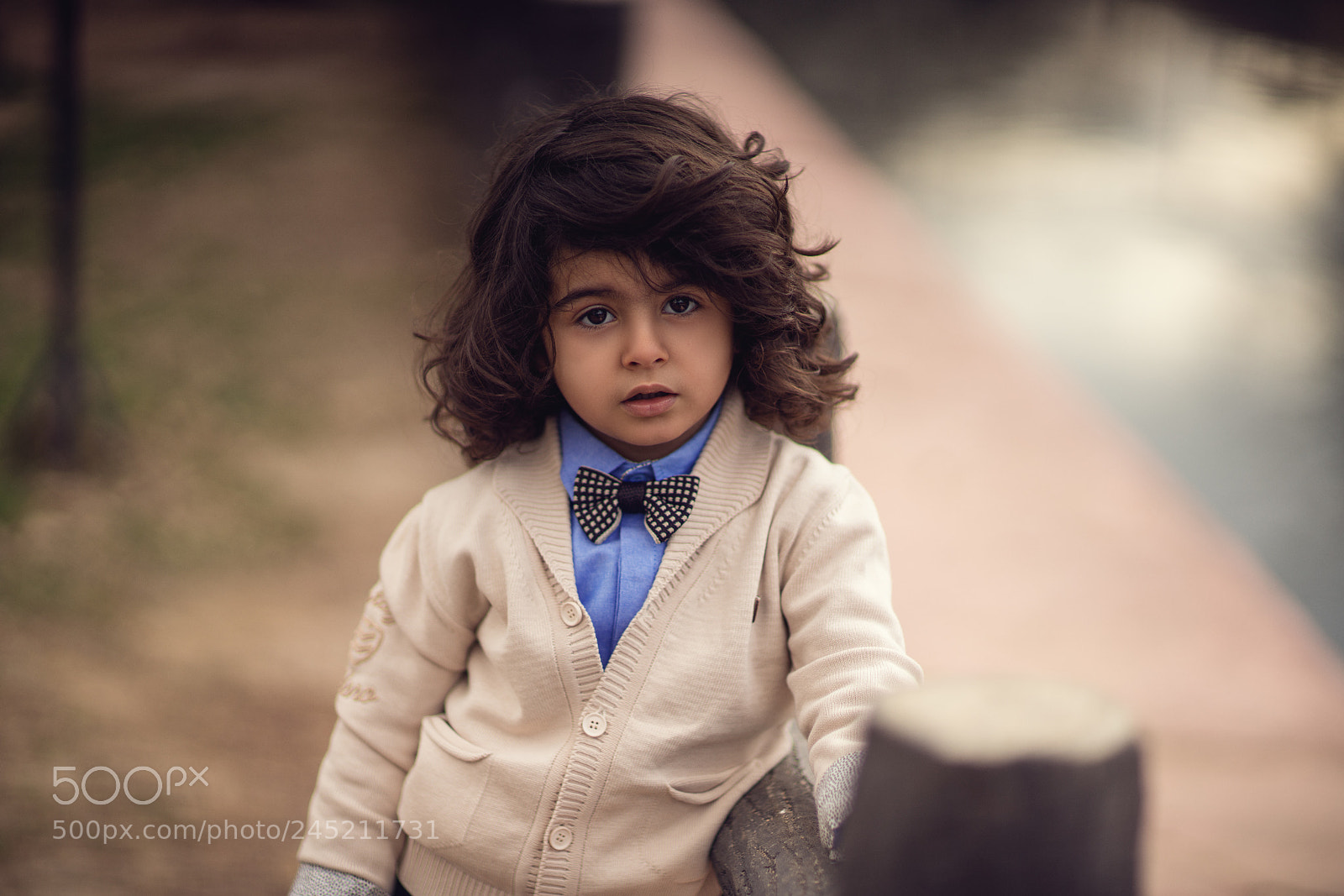 Sony a7R II sample photo. Dsc photography