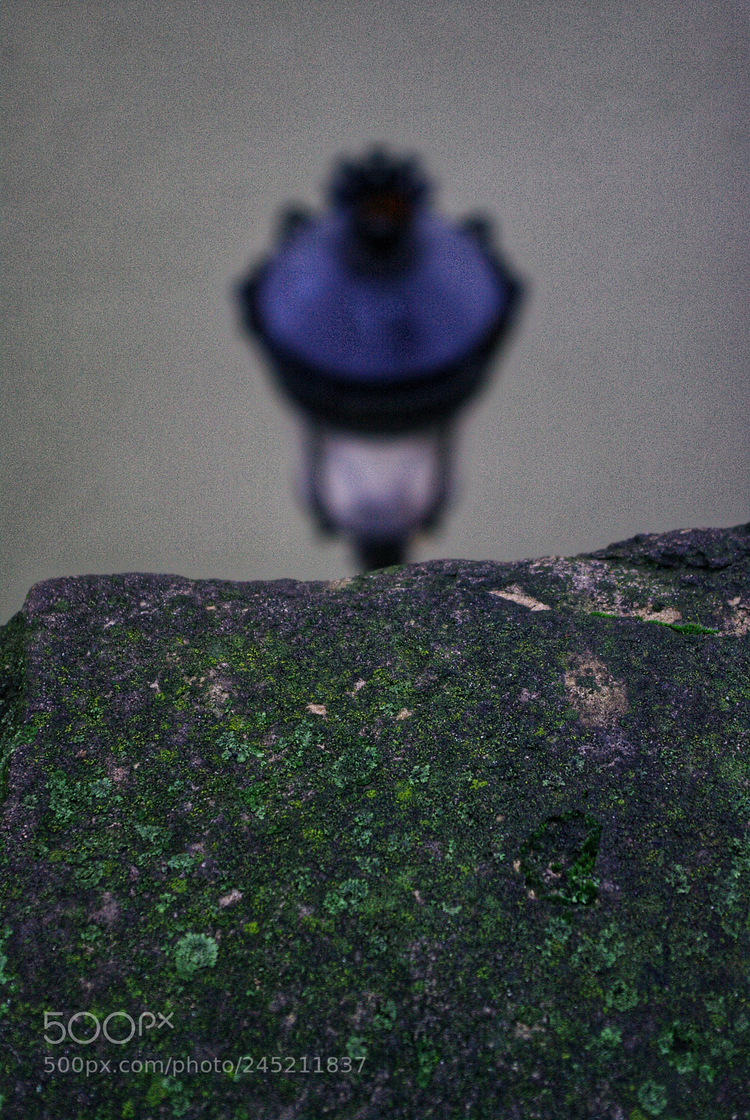 Pentax K20D sample photo. Bord de seine photography