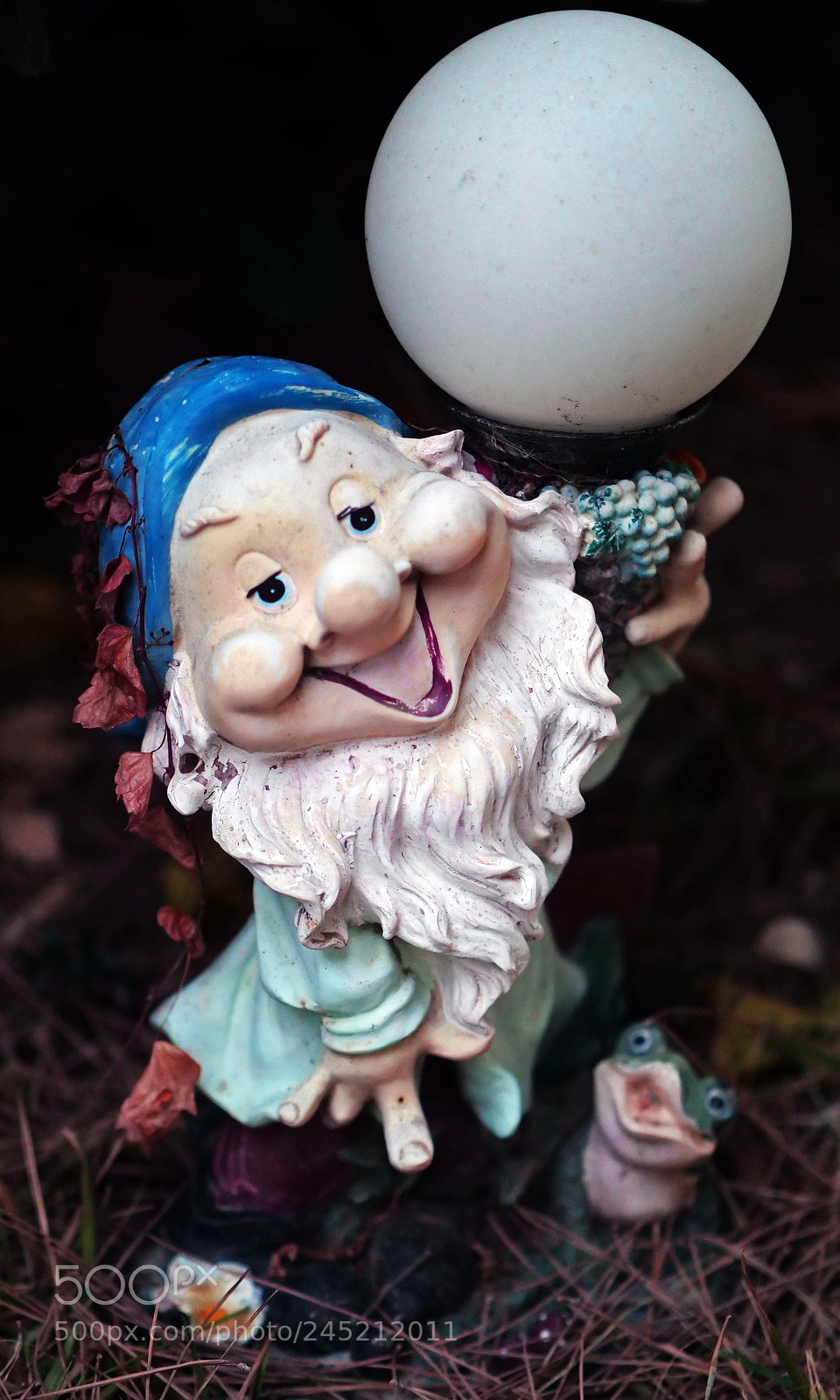 Panasonic Lumix DC-GH5 sample photo. Gnome photography