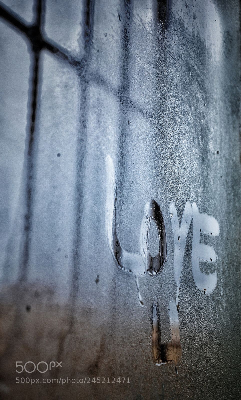 Nikon D3100 sample photo. Love photography