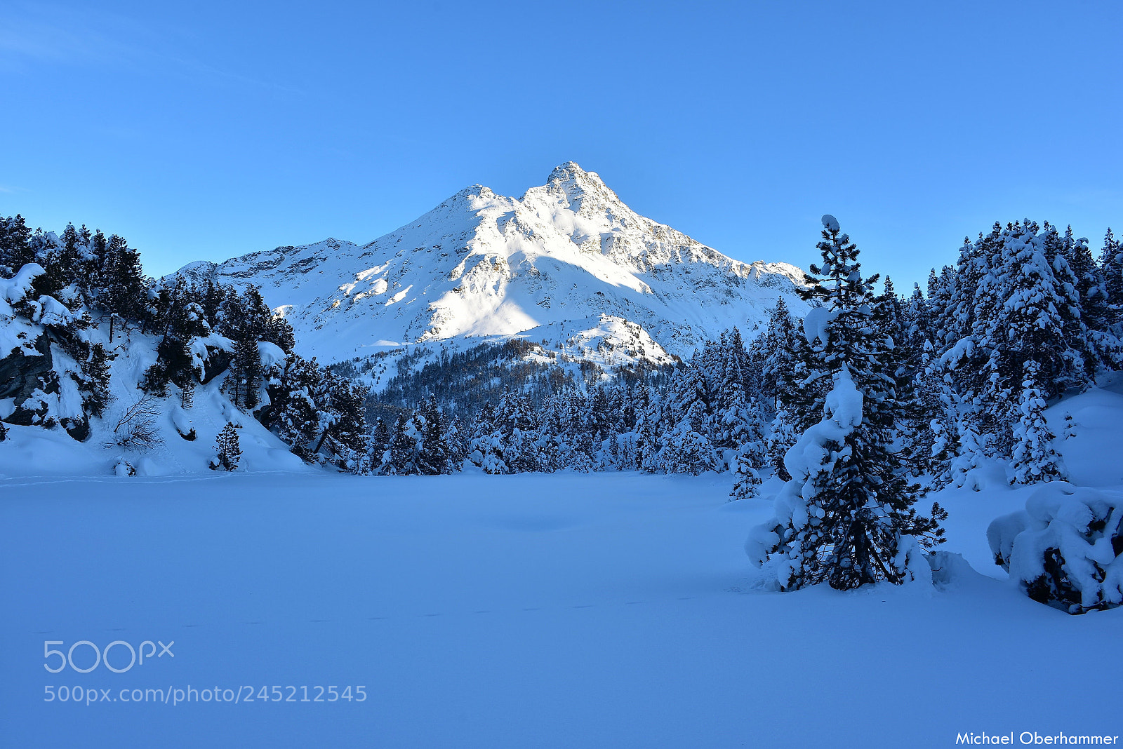 Nikon D7200 sample photo. Winter photography