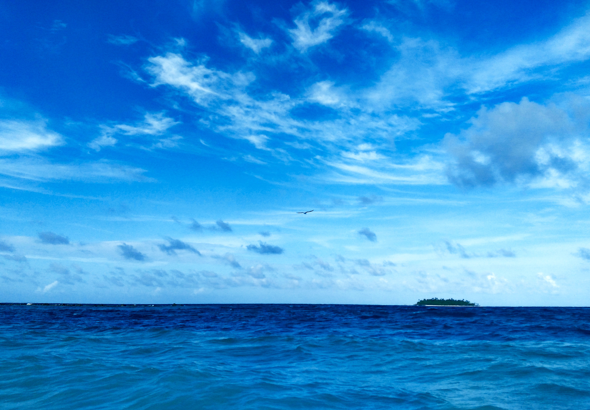 Xiaomi MI4 sample photo. Fly photography