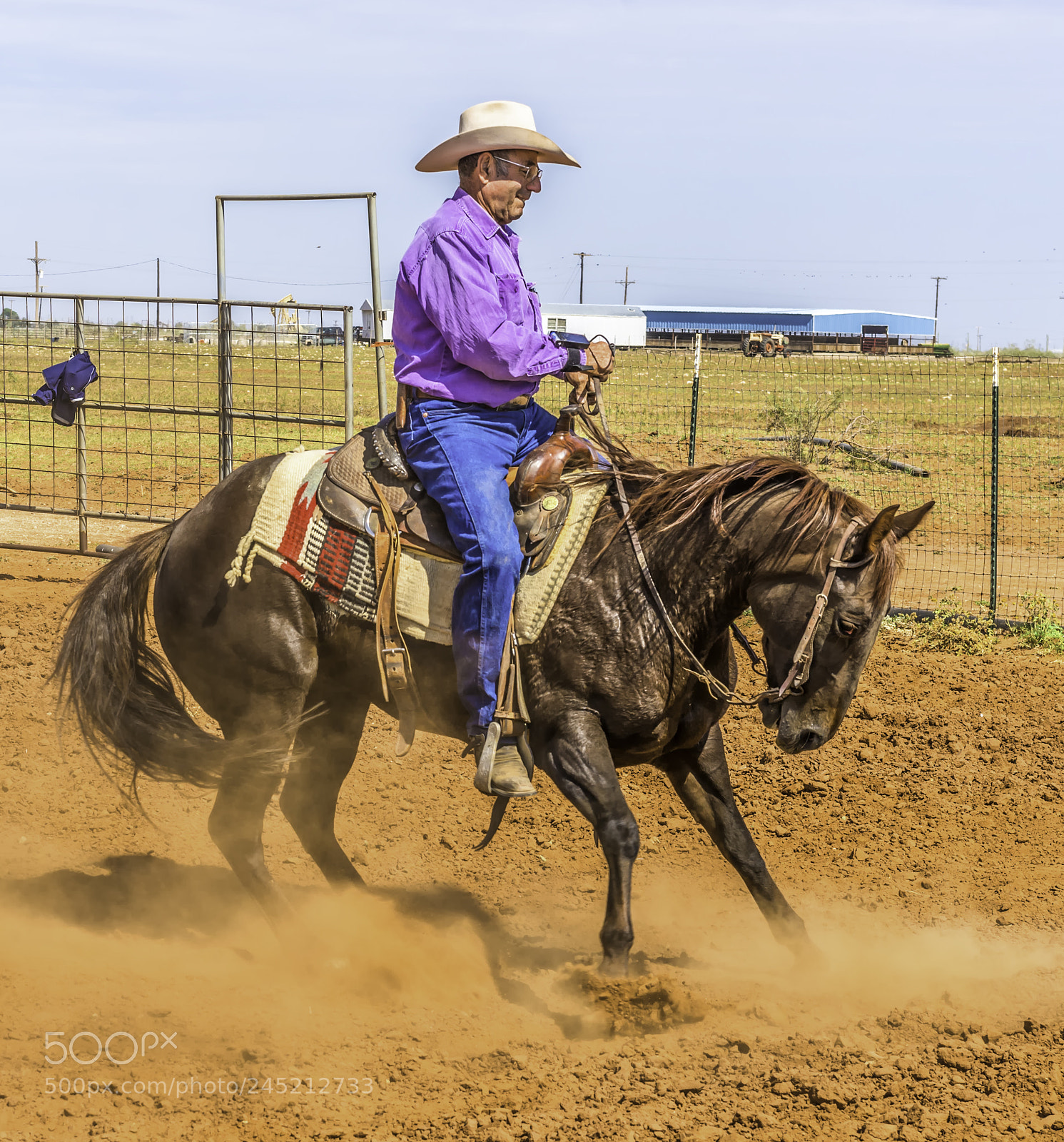 Nikon D800 sample photo. Cut photography