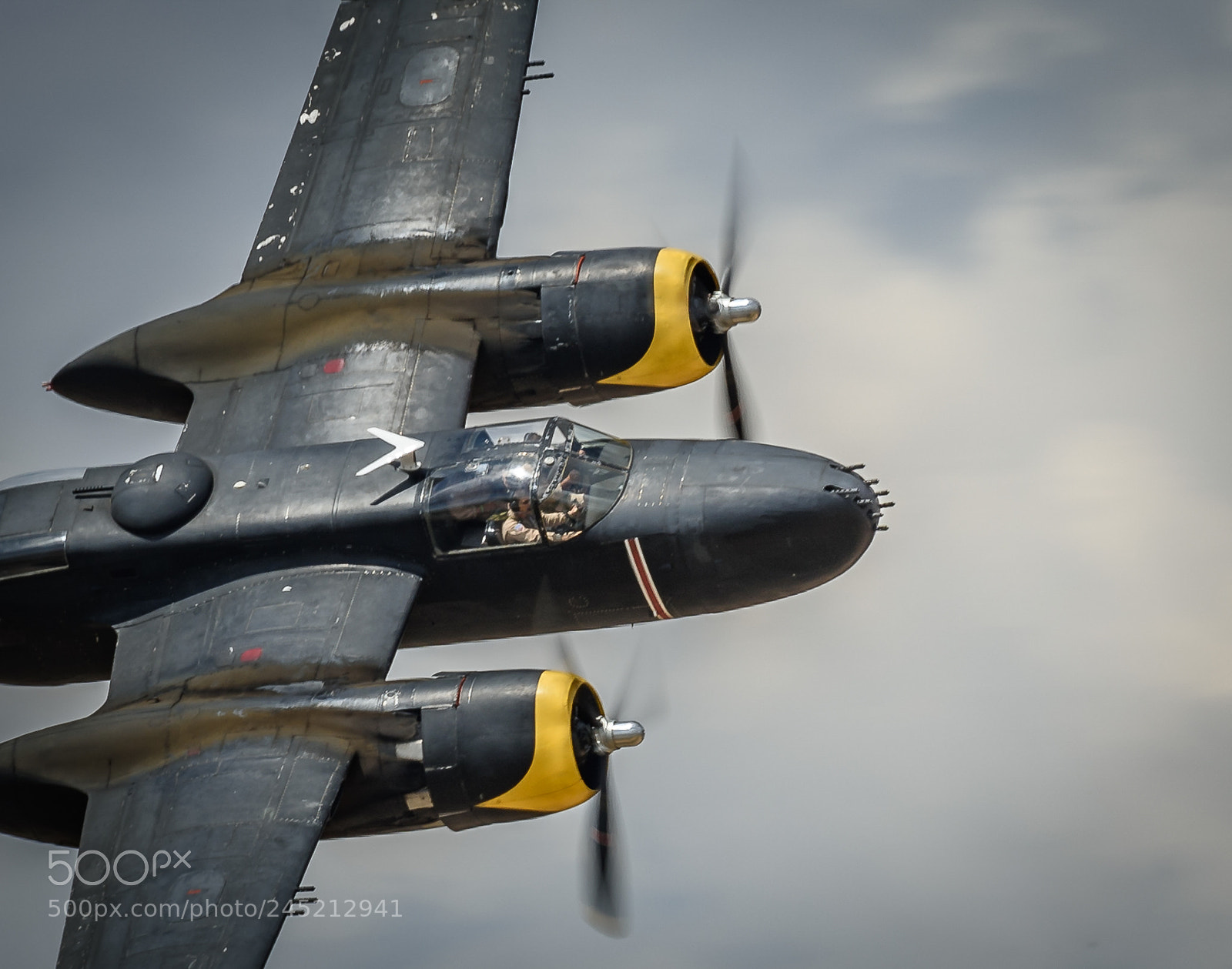 Nikon D810 sample photo. A close photography