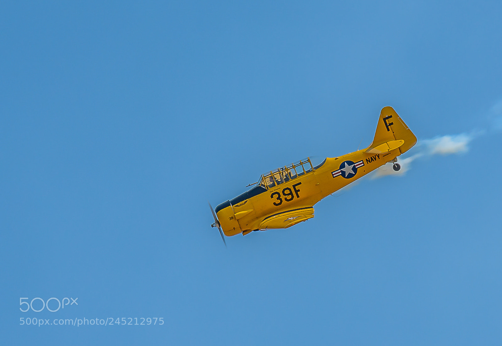 Nikon D810 sample photo. Snj yellow photography
