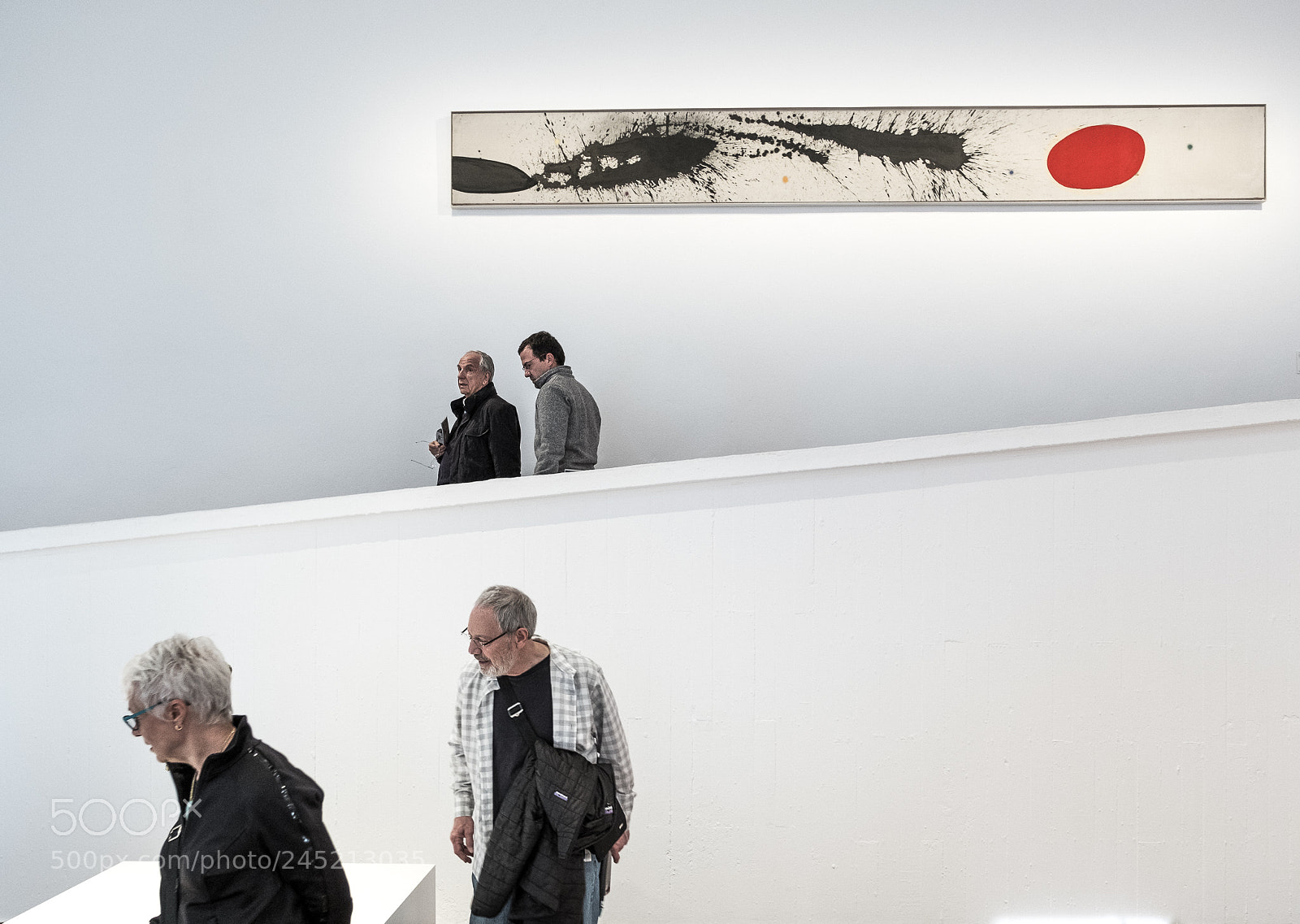 Fujifilm X-T2 sample photo. Visitors... photography