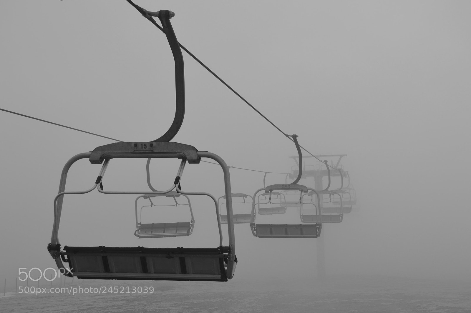 Nikon D3200 sample photo. The fog and the photography