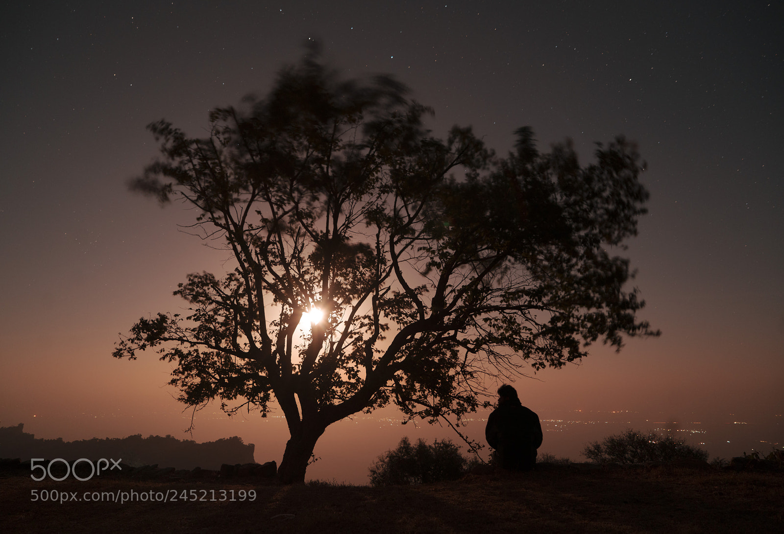 Sony a7R II sample photo. Red moon and lonely photography