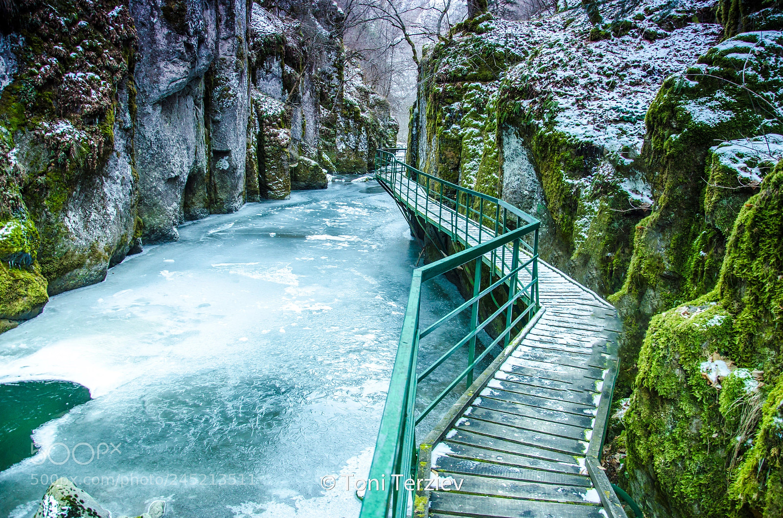 Nikon D5100 sample photo. Eco trail struilitsa devin photography