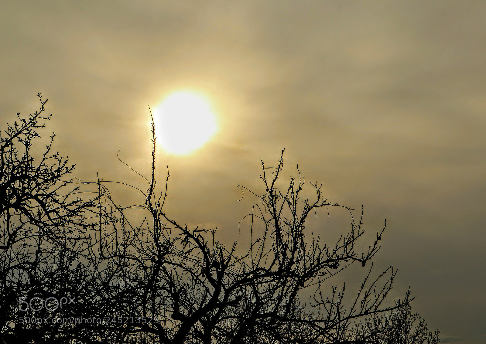 Canon EOS M5 sample photo. Sunset in january photography