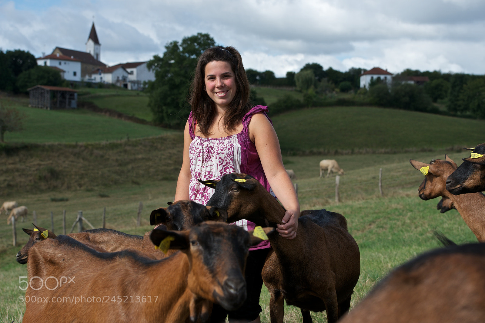 Nikon D800 sample photo. Nos agriculteurs ont du photography