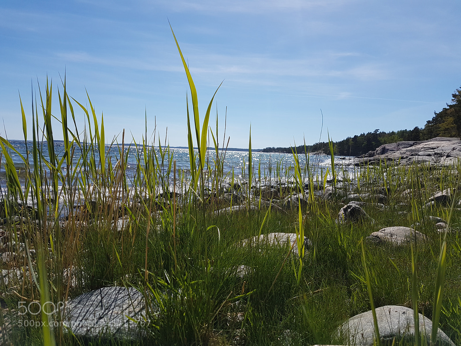 Samsung Galaxy S7 sample photo. Baltic coastline photography