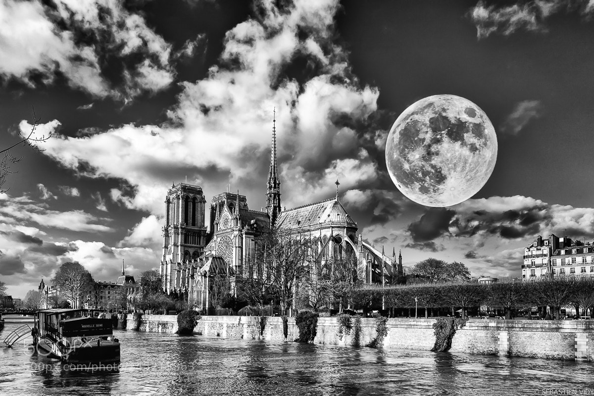 Canon EOS 6D Mark II sample photo. Paris photography