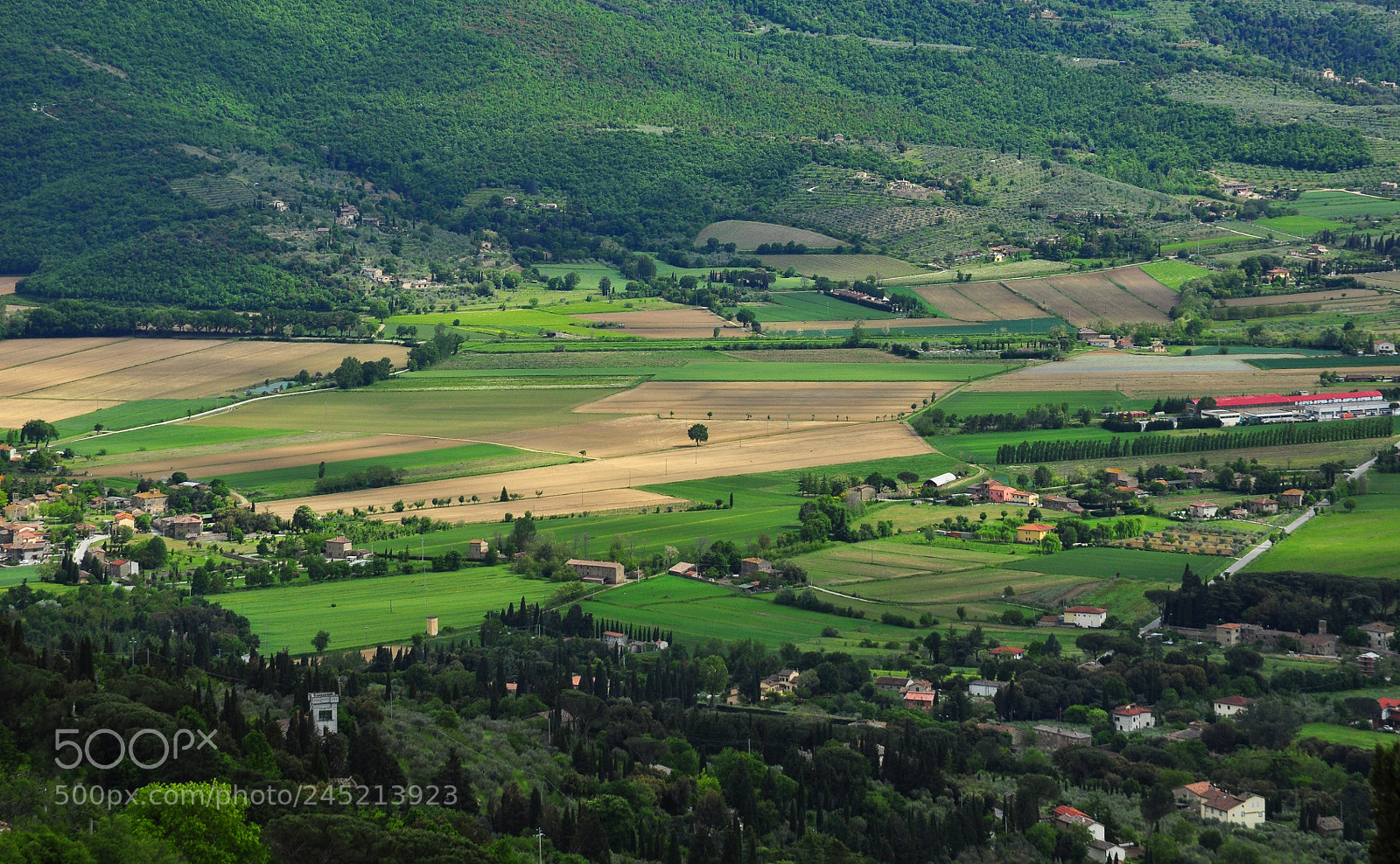 Nikon D90 sample photo. Under toscanian sun photography