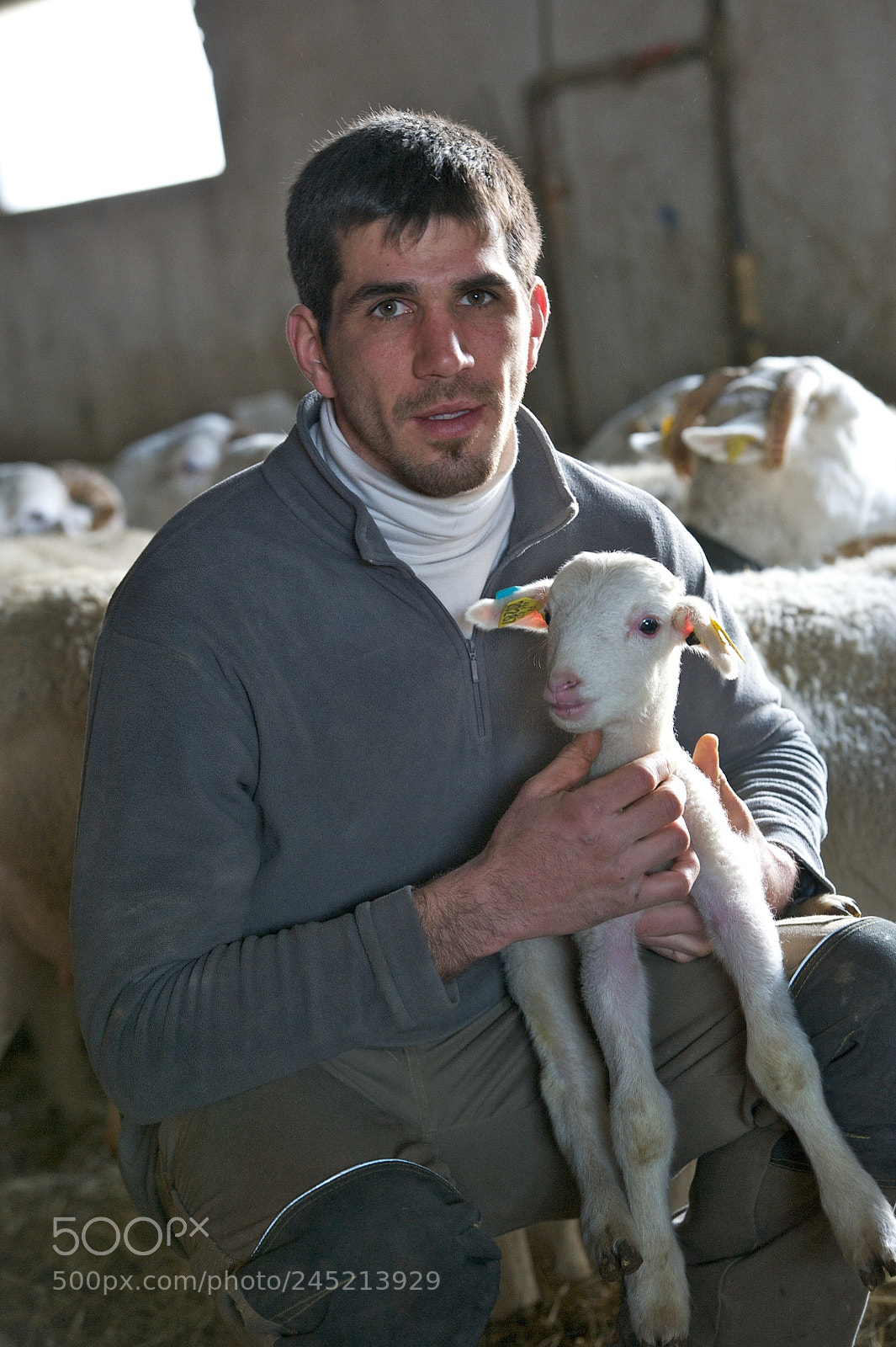 Nikon D700 sample photo. Nos agriculteurs ont du photography