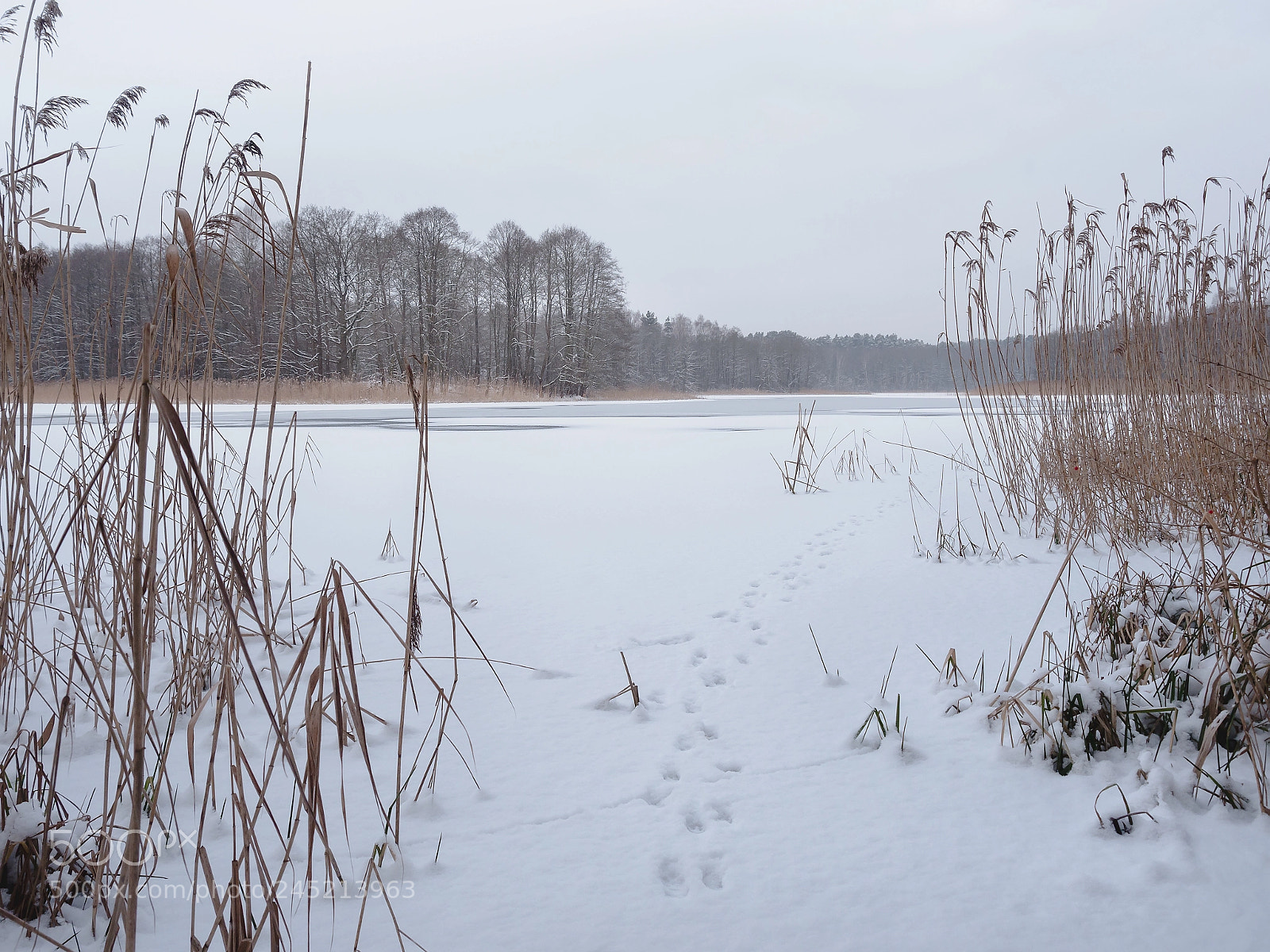 Panasonic Lumix DMC-G6 sample photo. Walk on ice... photography