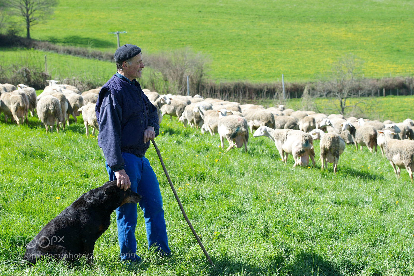 Nikon D800 sample photo. Nos agriculteurs ont du photography