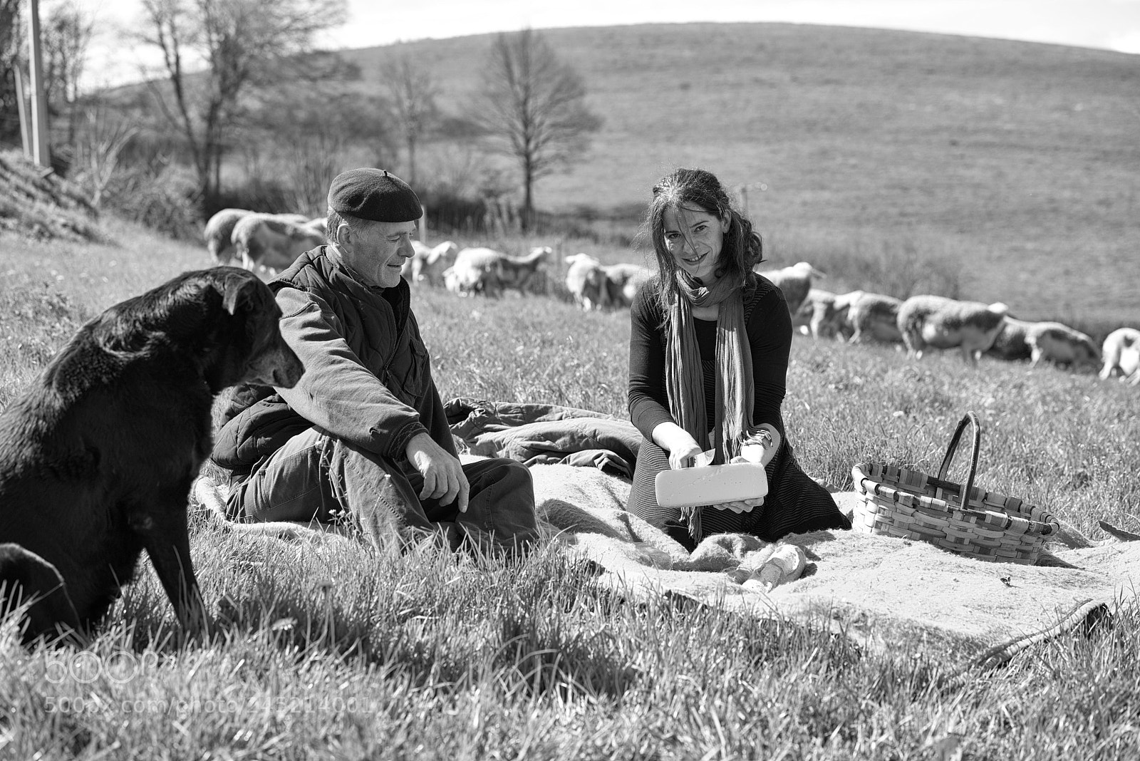 Nikon D800 sample photo. Nos agriculteurs ont du photography