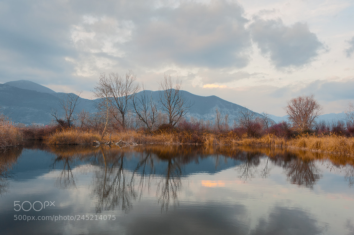 Nikon D700 sample photo. Torbiere photography