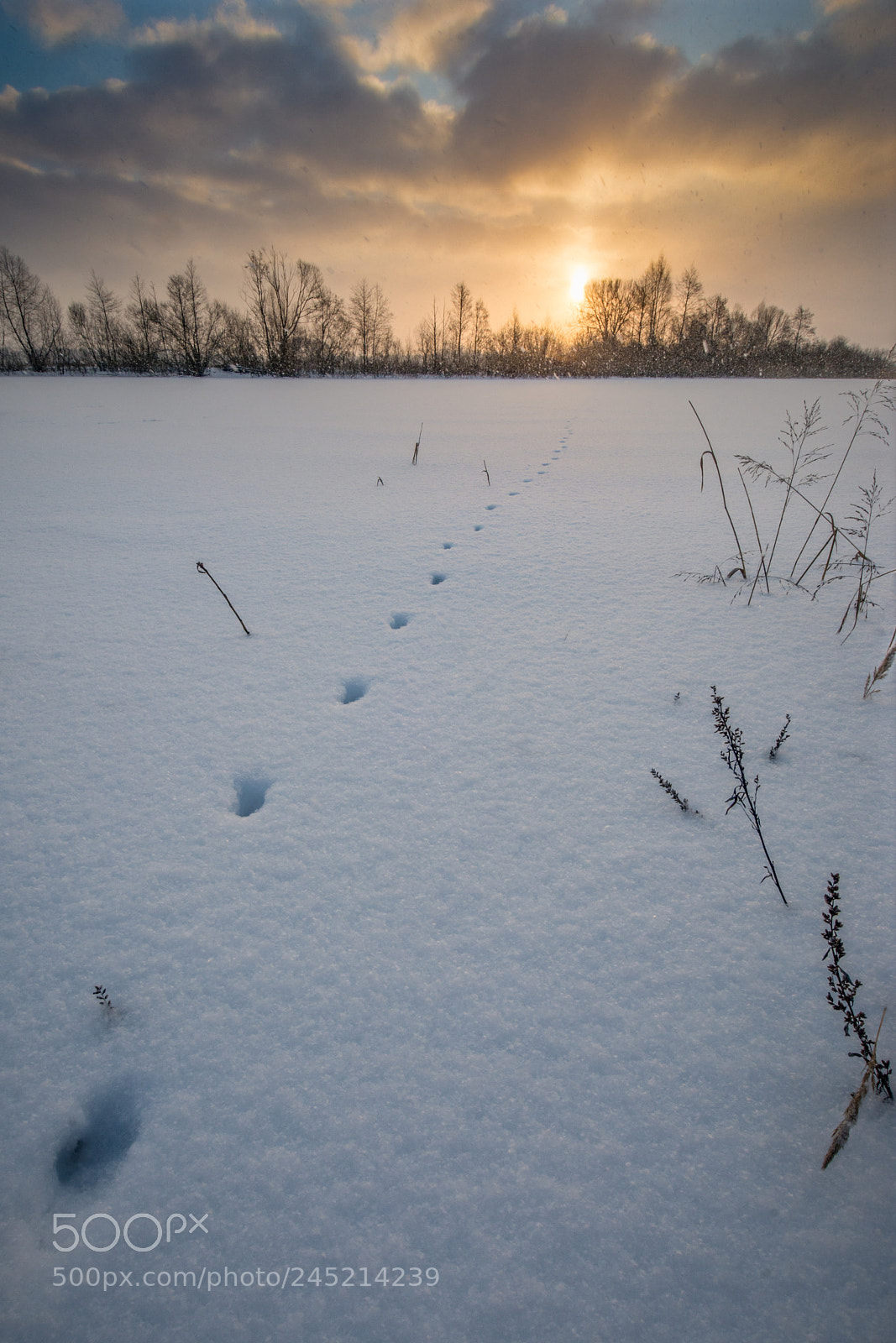 Nikon D7100 sample photo. Footsteps photography