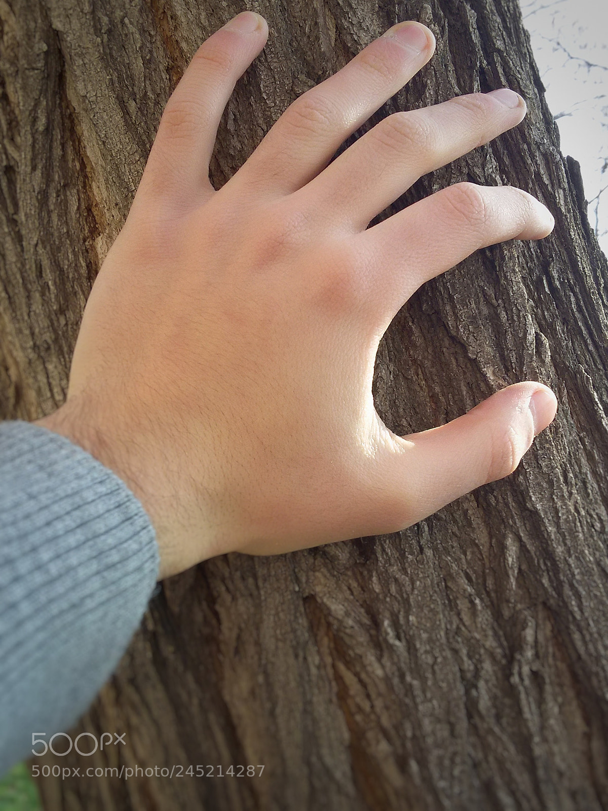 Samsung Galaxy S5 Mini sample photo. Connection photography