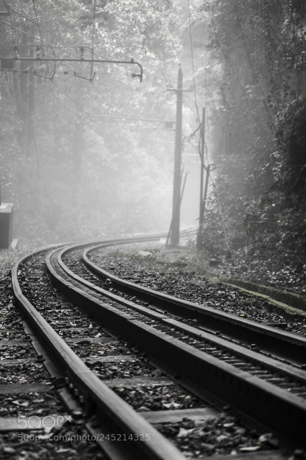 Nikon D7100 sample photo. Path to corcovado photography