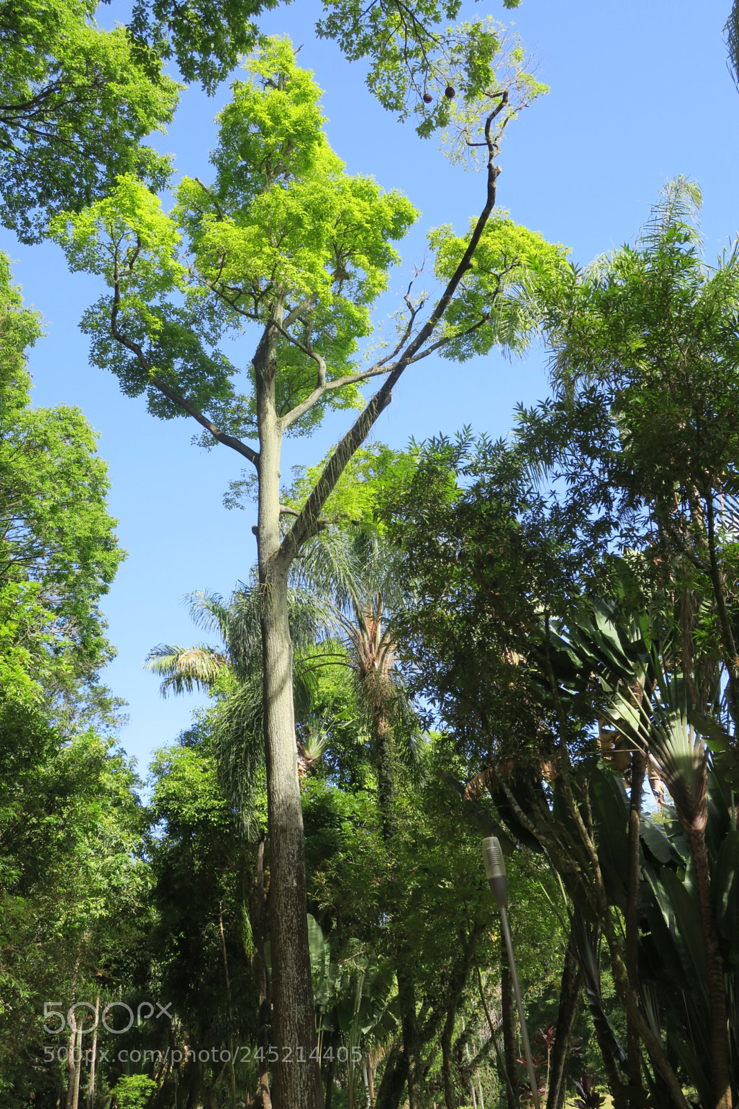 Canon PowerShot G9 X sample photo. Mariano proc pio photography