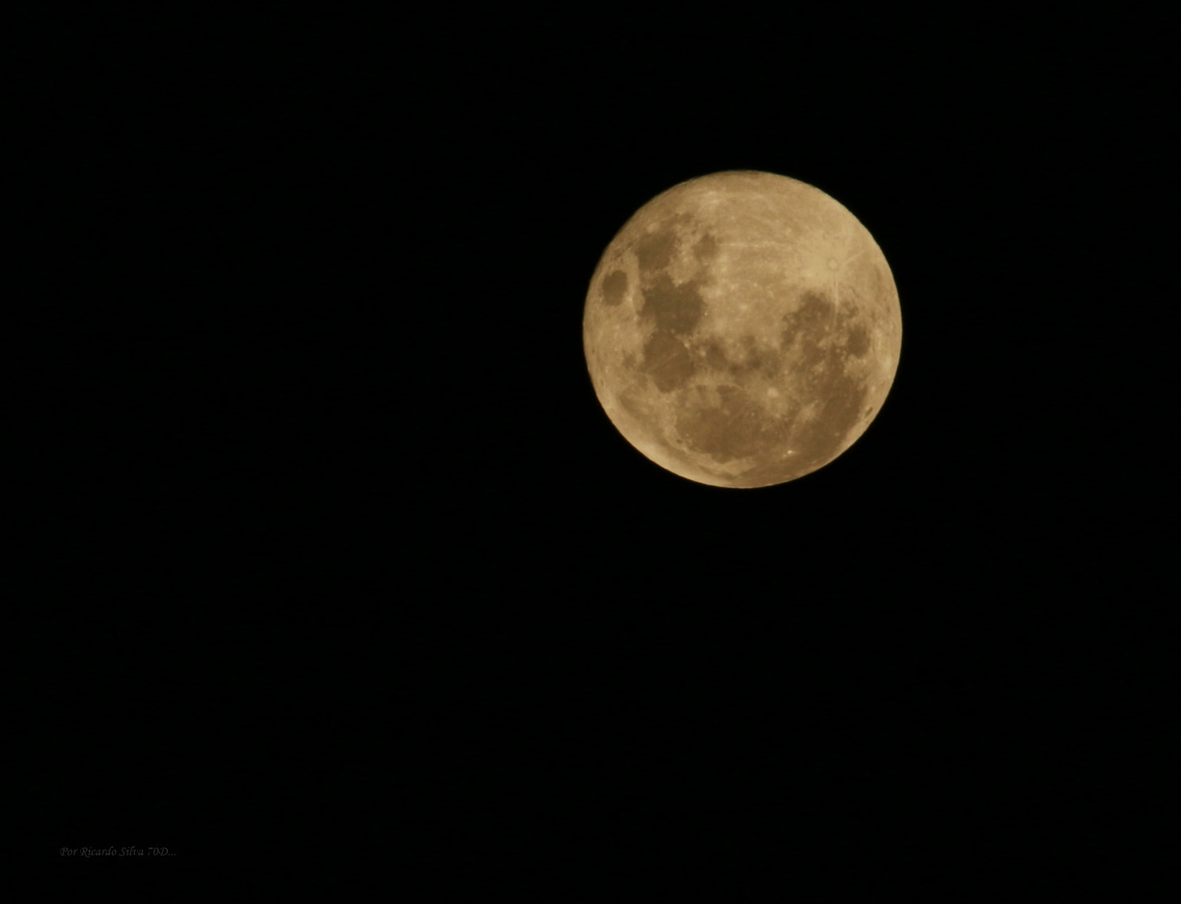 Canon EF-S 55-250mm F4-5.6 IS STM sample photo. Linda... photography