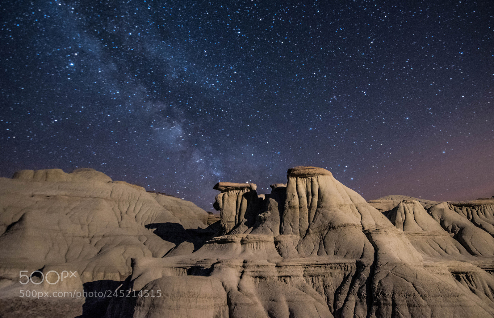 Nikon D810 sample photo. Milky way over dinosaur photography