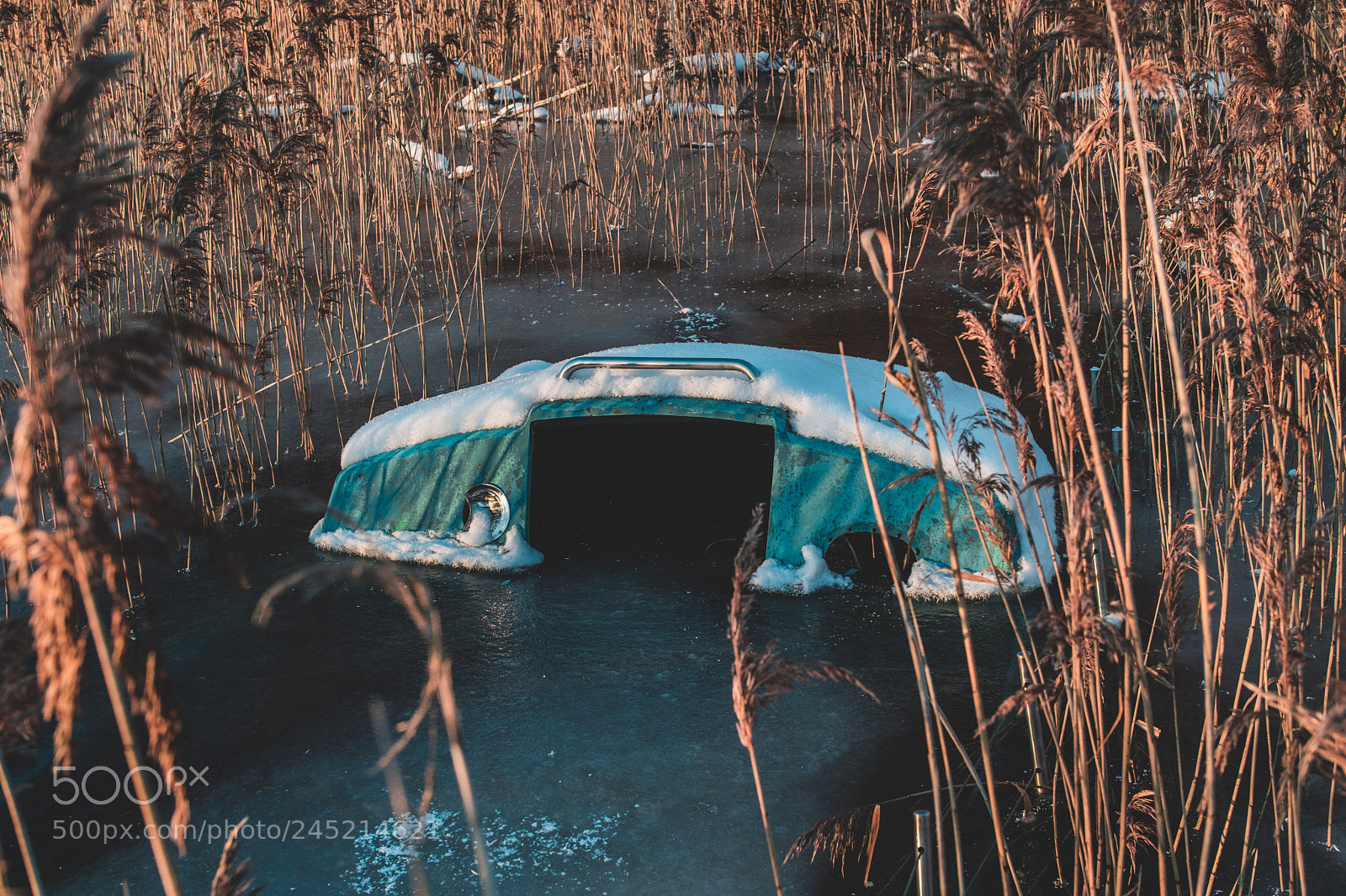 Nikon D500 sample photo. Hidden beneath the ice photography