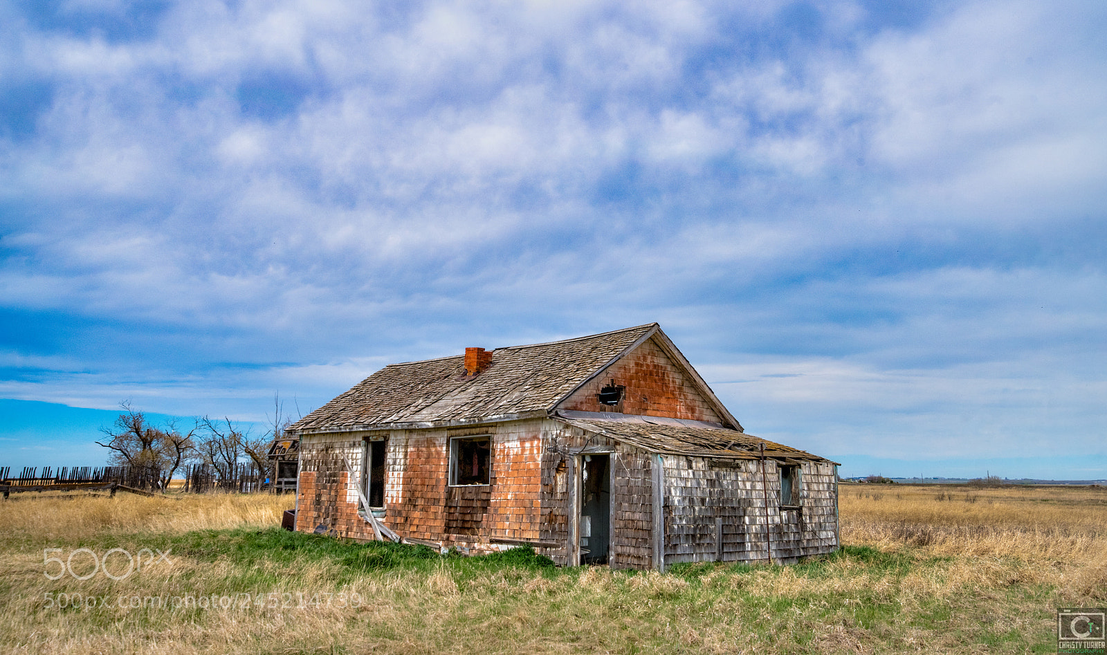 Nikon D810 sample photo. Untitled shoot photography