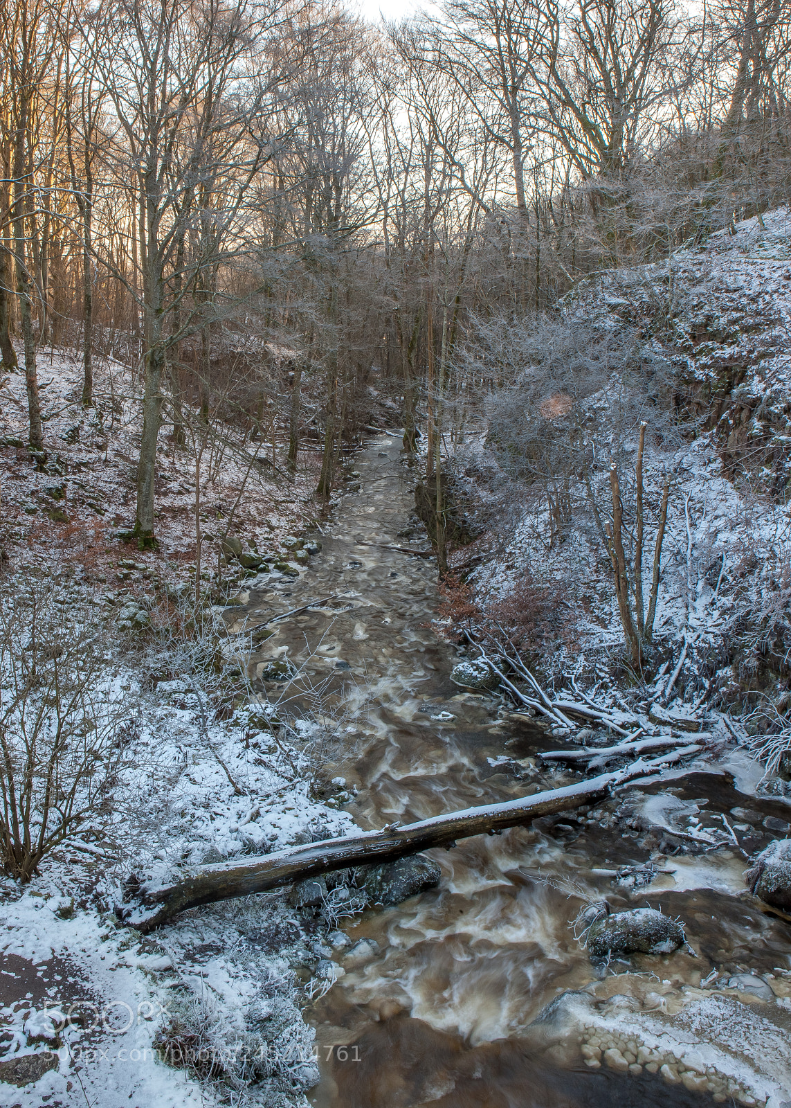 Canon EOS-1Ds Mark III sample photo. Winterwoods photography