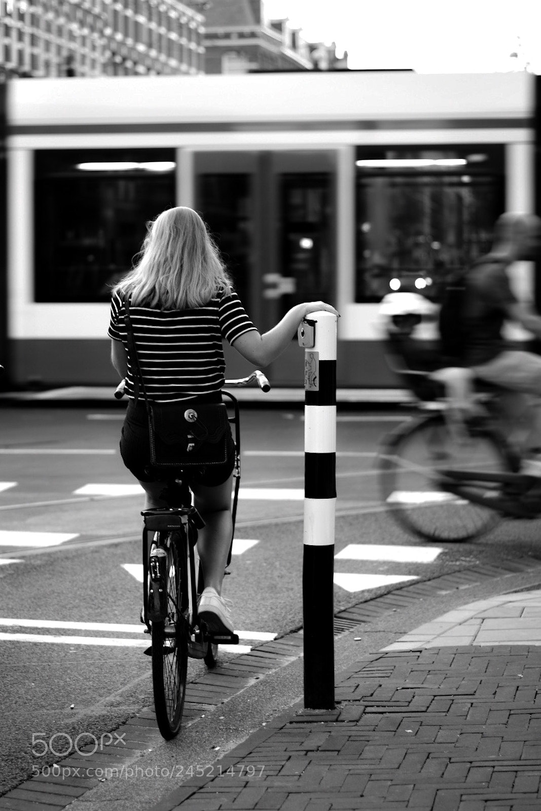 Nikon D5500 sample photo. Awaiting amsterdammer photography