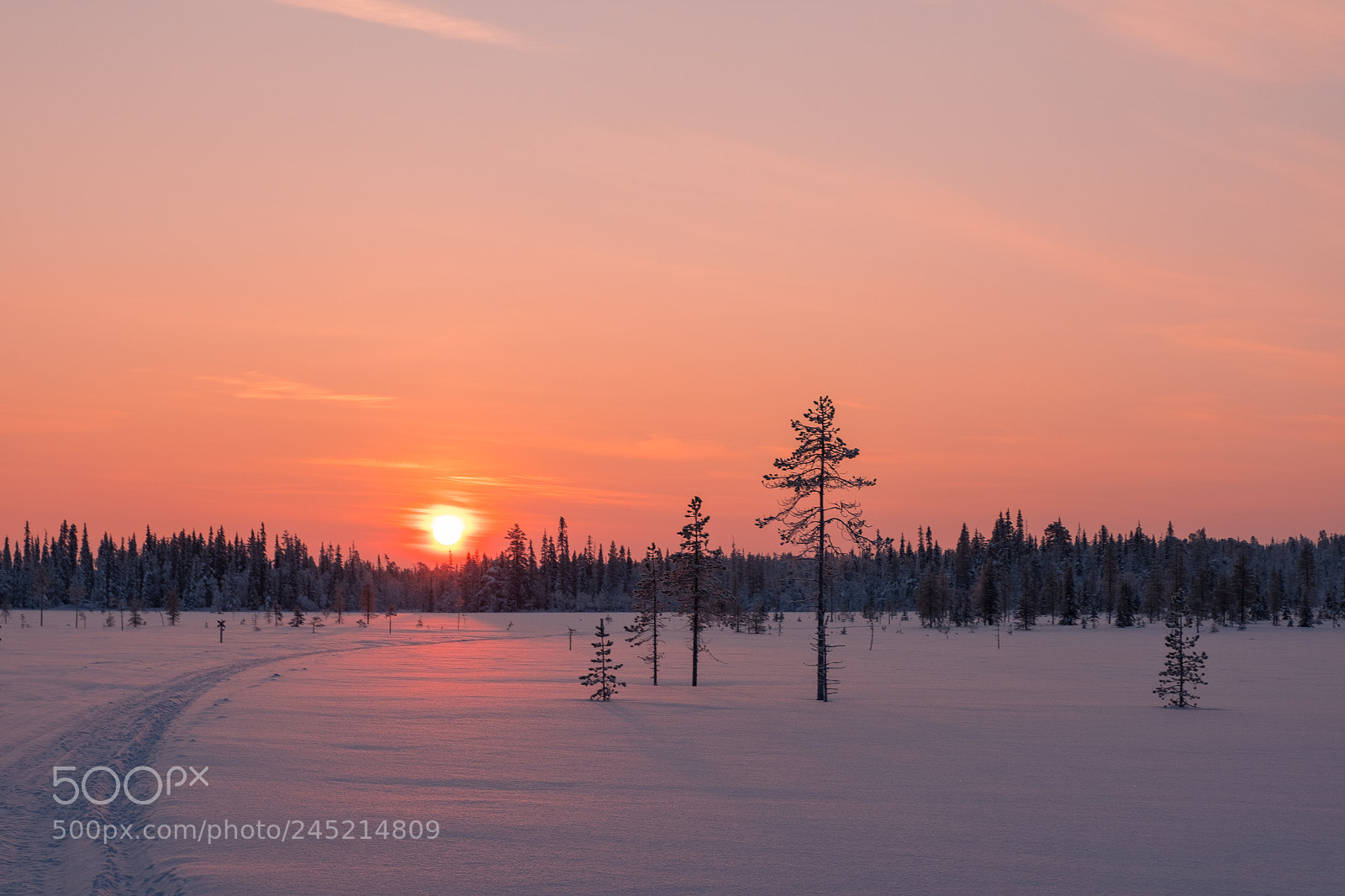 Fujifilm X-T20 sample photo. Midday sun in lapland photography