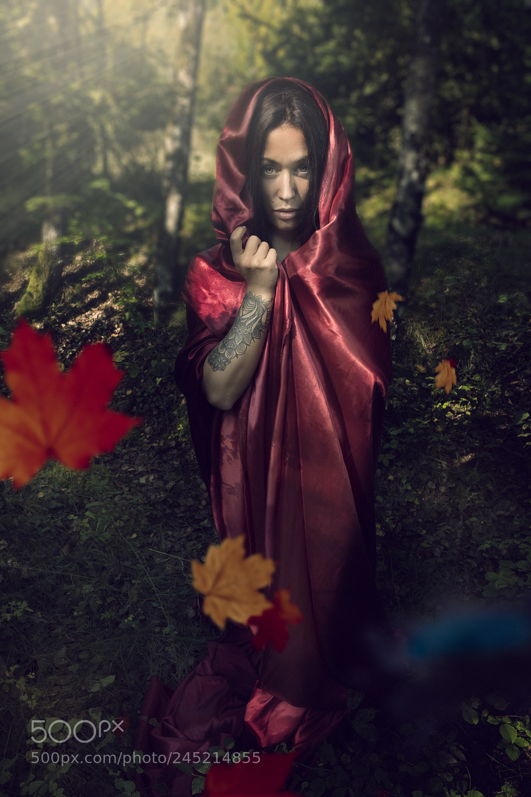Fujifilm X-T2 sample photo. Red riding hood photography