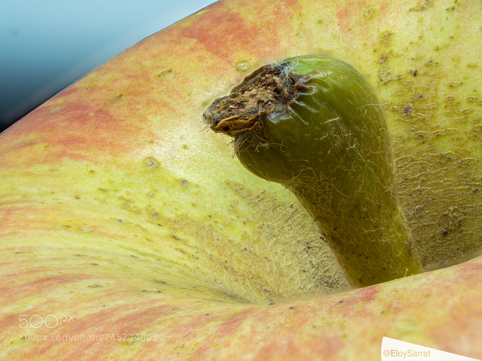 Olympus OM-D E-M5 II sample photo. Details of an apple photography