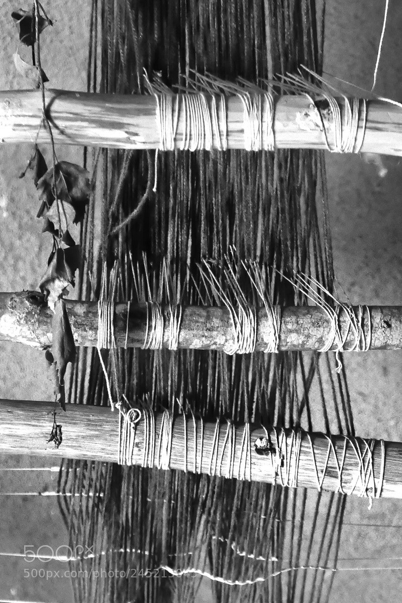 Panasonic Lumix DMC-LX100 sample photo. Fäden - threads photography