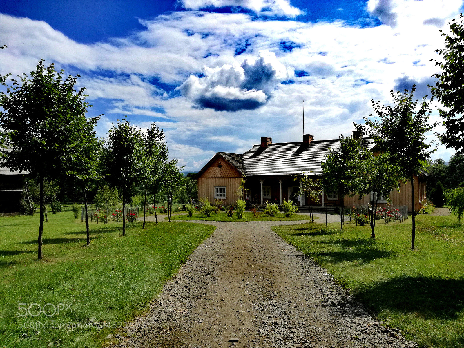 HUAWEI P9 LITE sample photo. Dworek photography