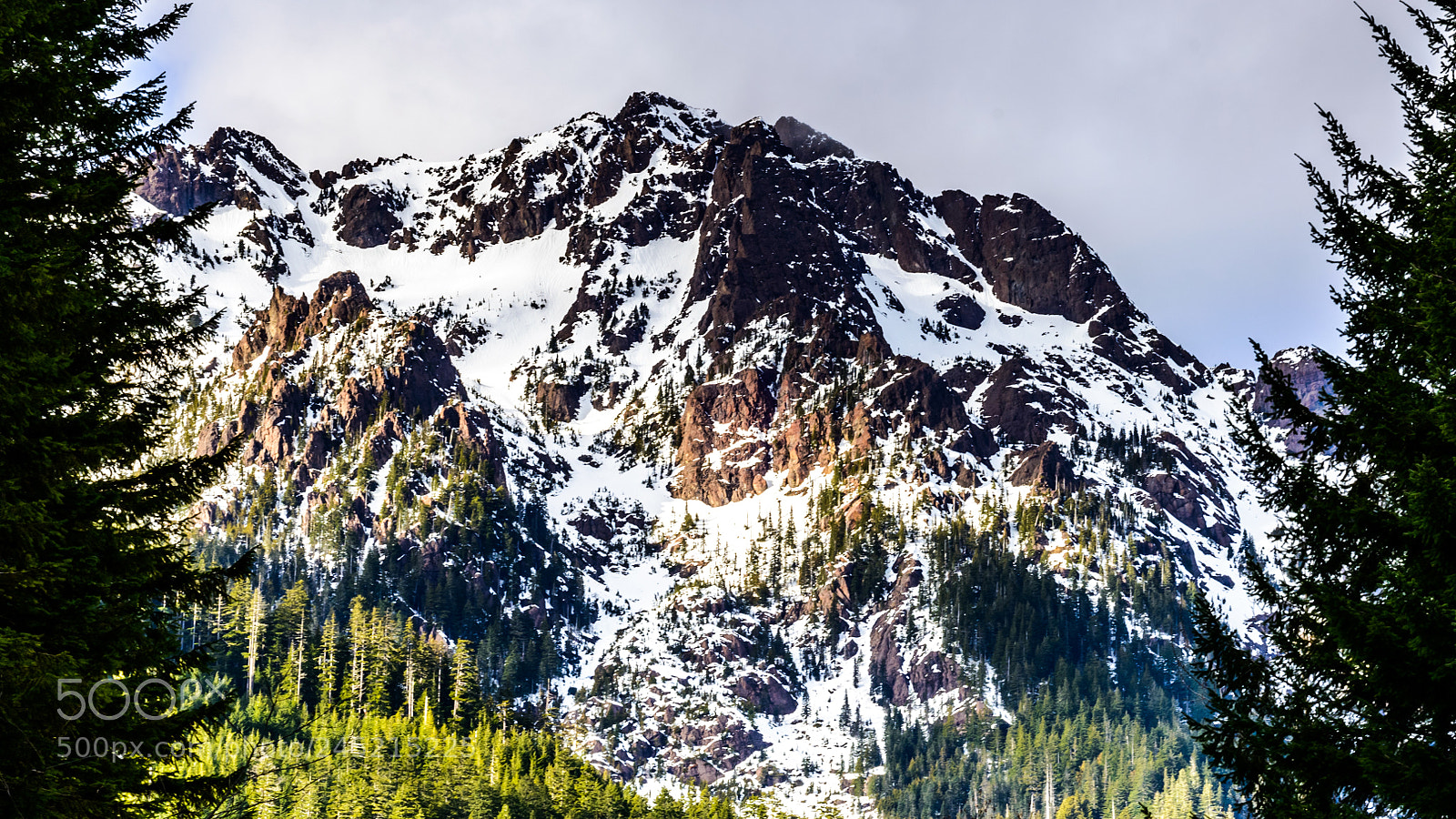 Nikon D800 sample photo. Mount ellinor trail head photography